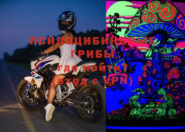шишки Заводоуковск