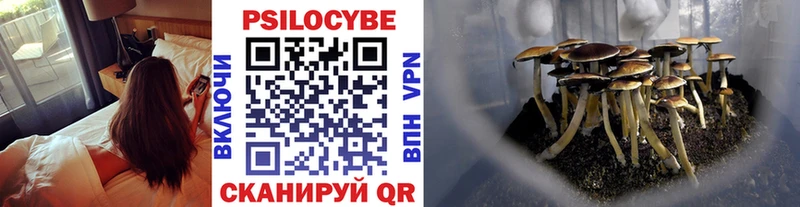 где продают   ссылка на мегу вход  Галлюциногенные грибы Cubensis  Волоколамск 